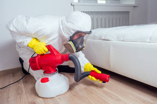 Best Residential Pest Control  in Homosassa, FL